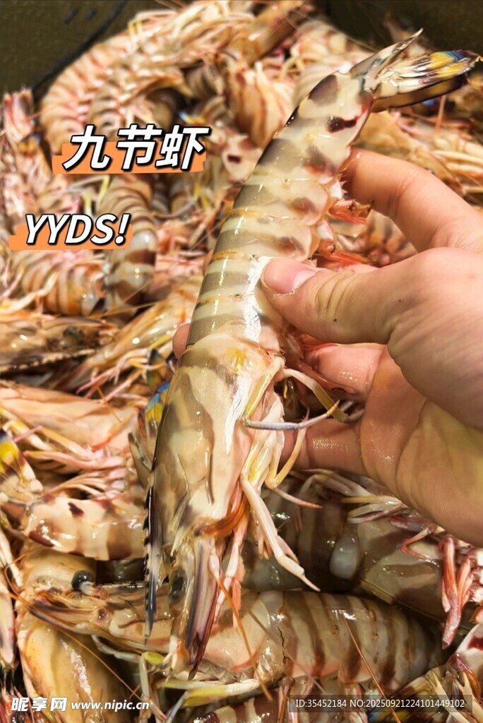 对虾