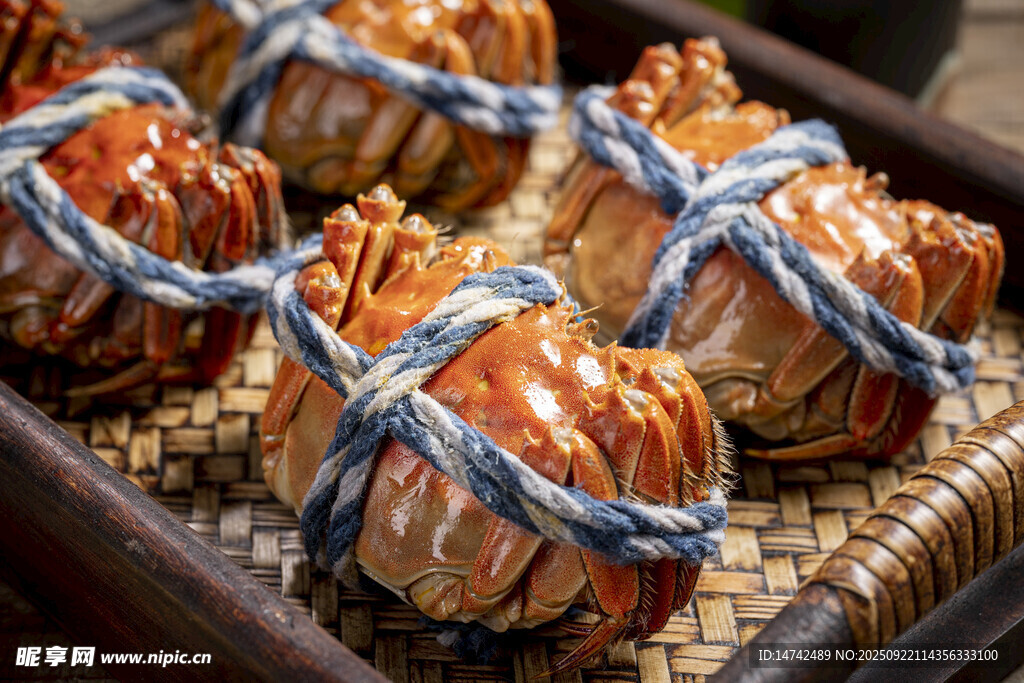 捆绑的大闸蟹