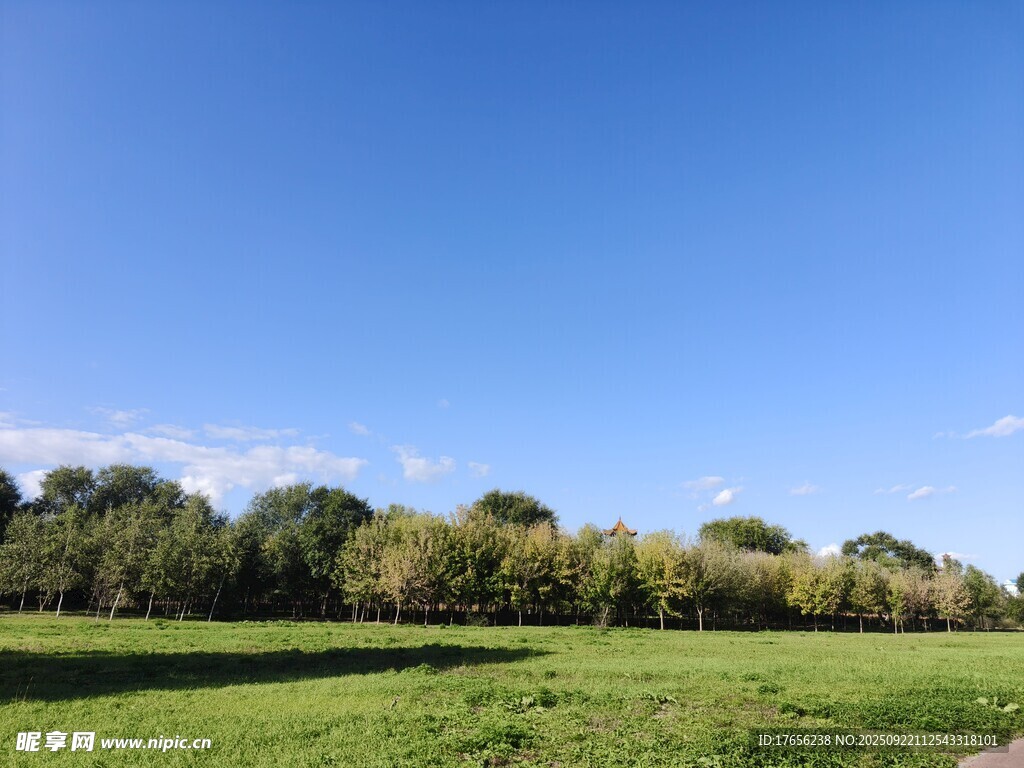 广阔绿野与蓝天绿树美景