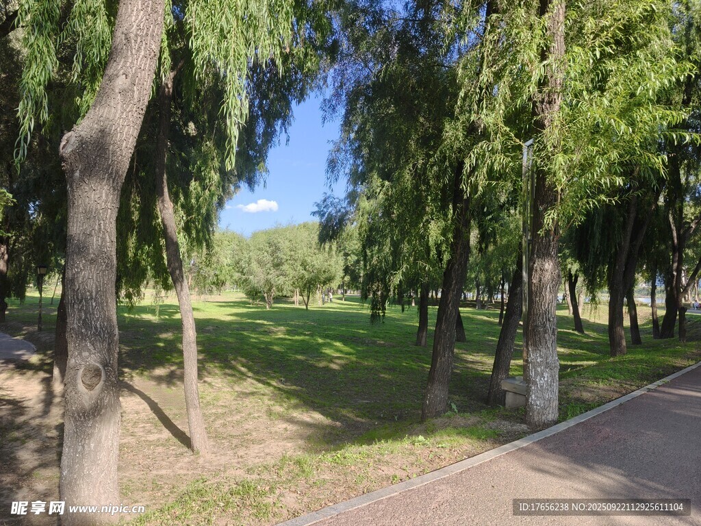 林间小道