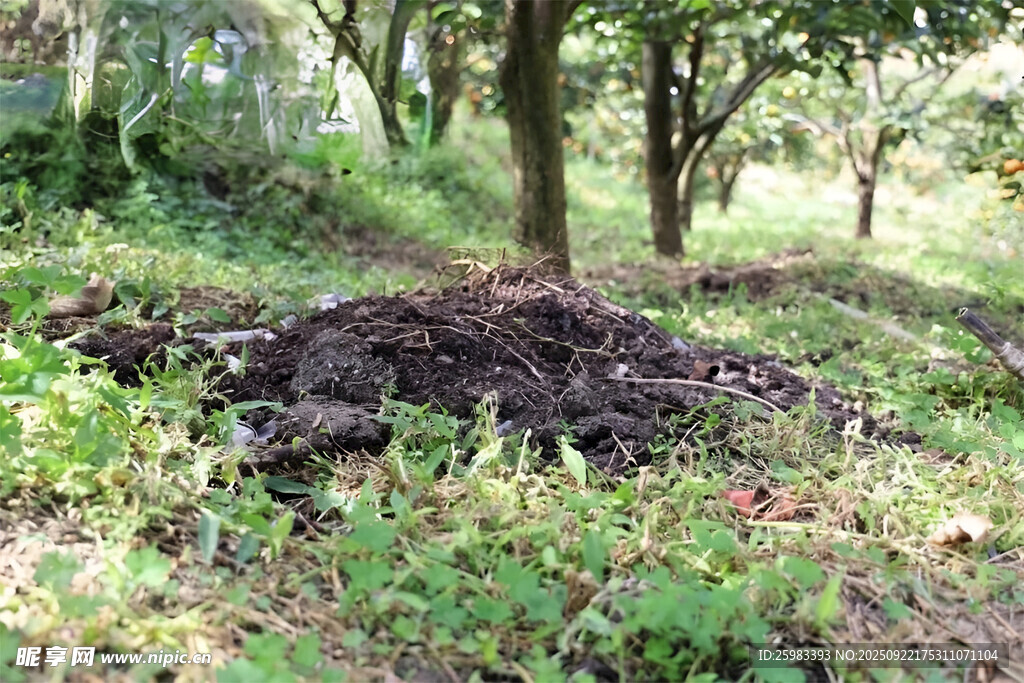 果树堆肥