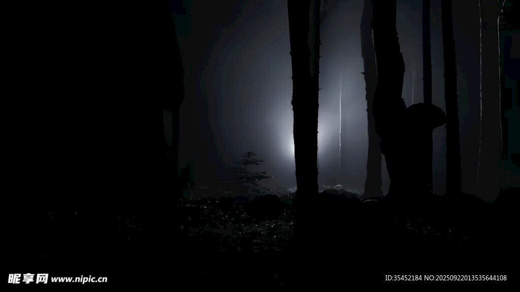 森林夜景