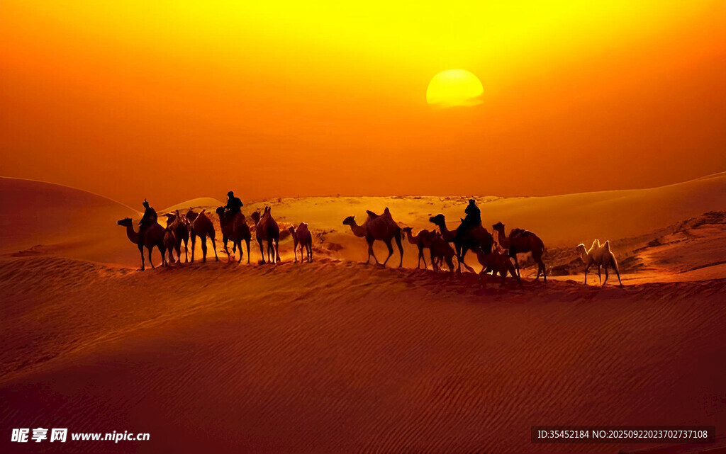 沙漠驼队