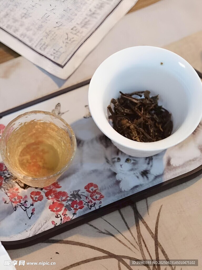 普洱茶