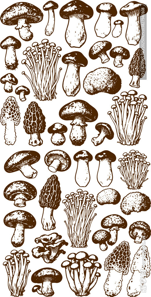 多样蘑菇图案集合