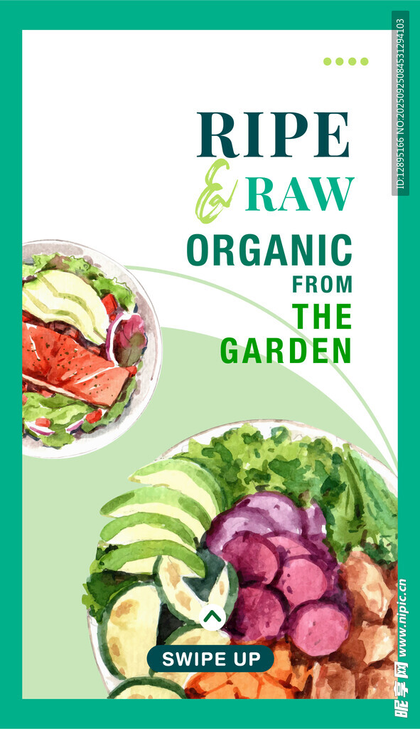 有机生食蔬菜宣传图