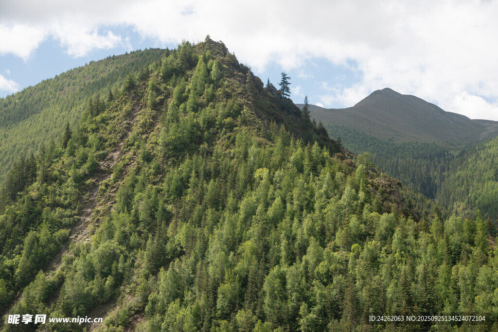 翠绿山峦尽显自然之美