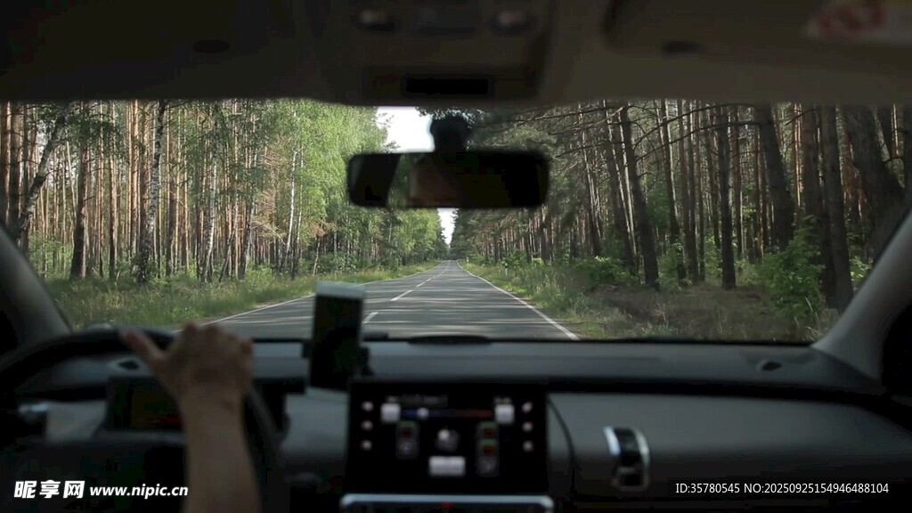 车内视角的林间驾驶景象