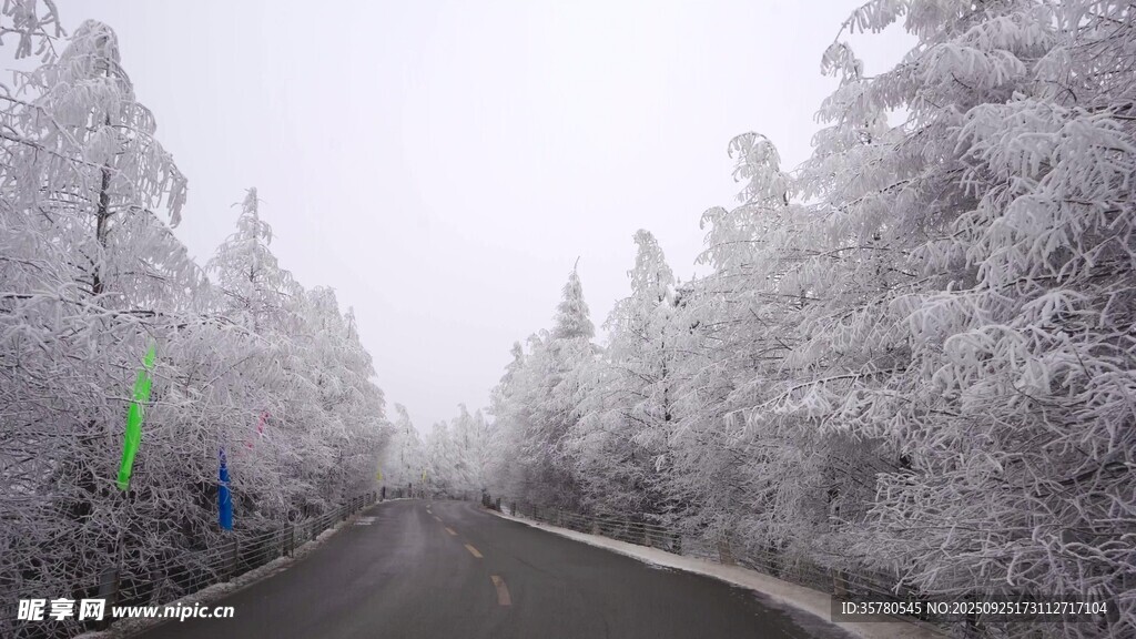 开车第一视角素材