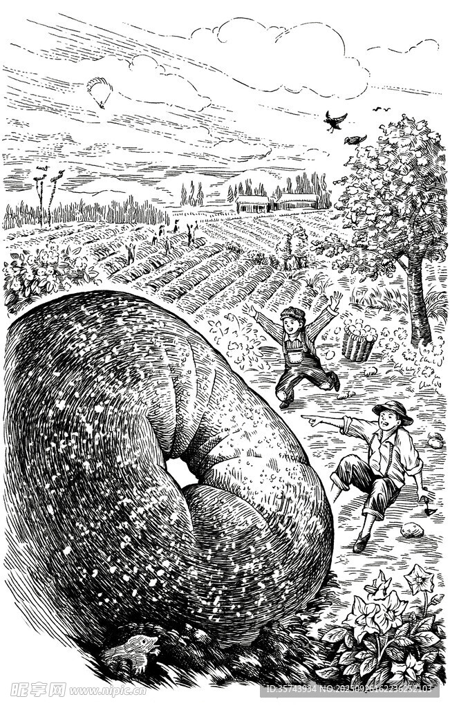 田野中的巨型蘑菇景观