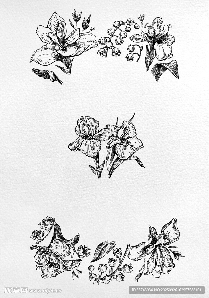 花卉图案黑白矢量素材