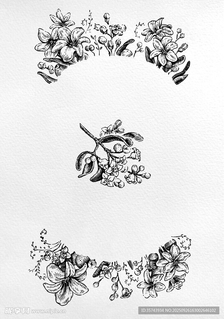 花卉装饰元素集合