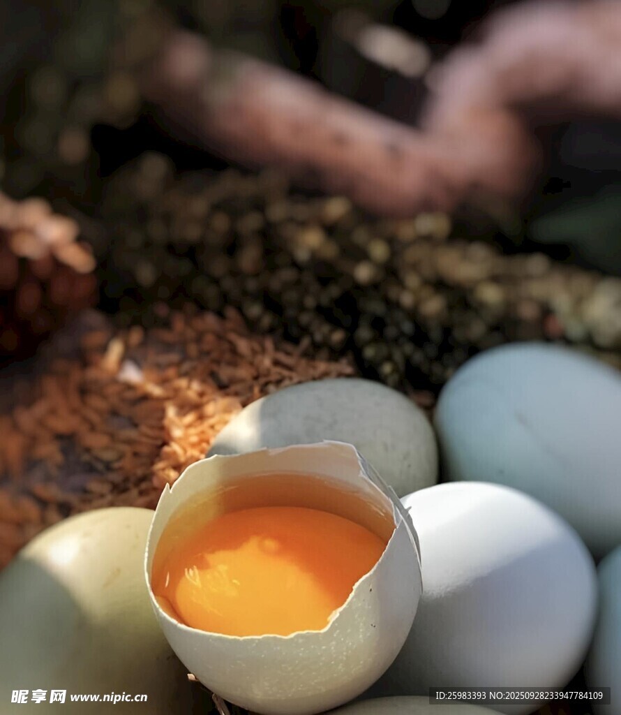 鸡蛋