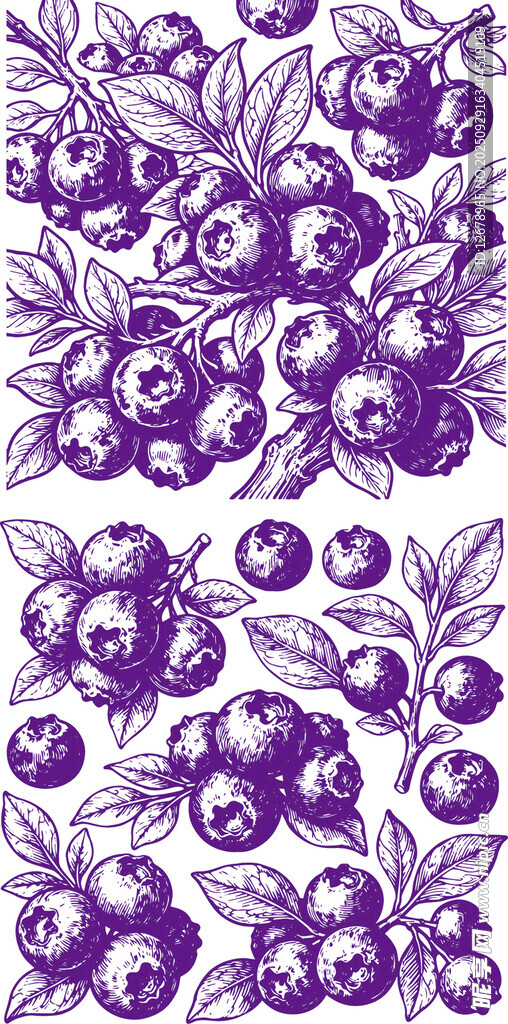 蓝莓果图案设计
