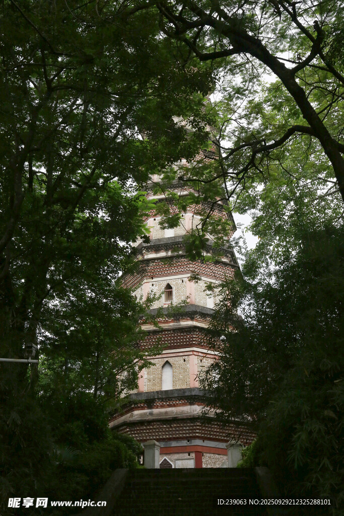 林中古塔  泗州塔