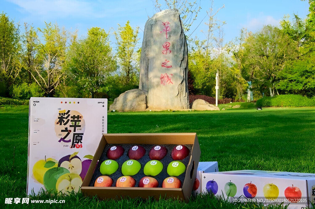 苹果
