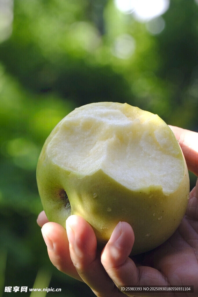 苹果