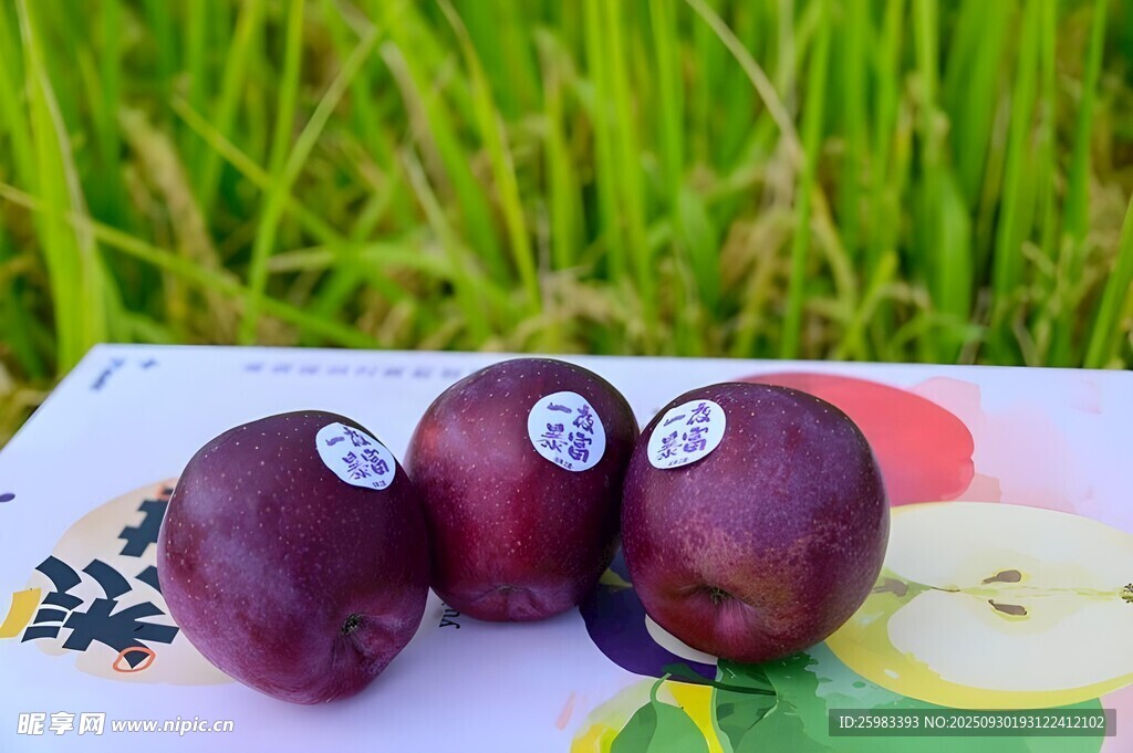 苹果