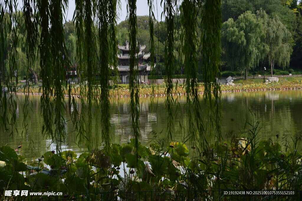 公园风景  