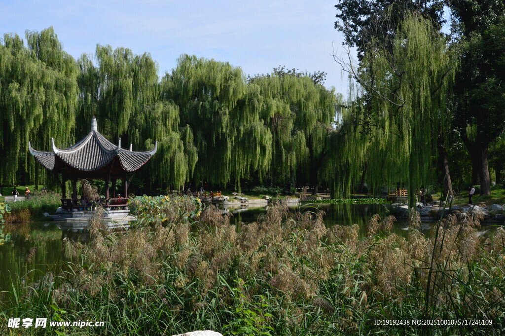 公园风景 