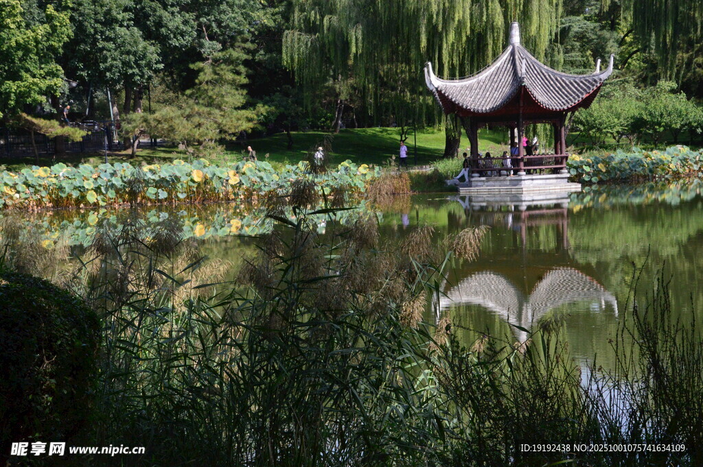 公园风景  