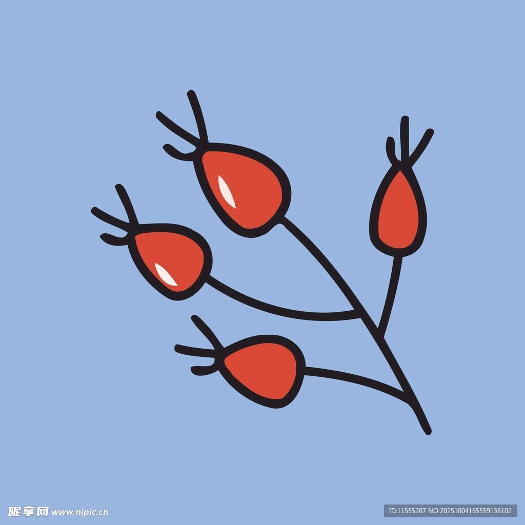 手绘红色浆果植物图案