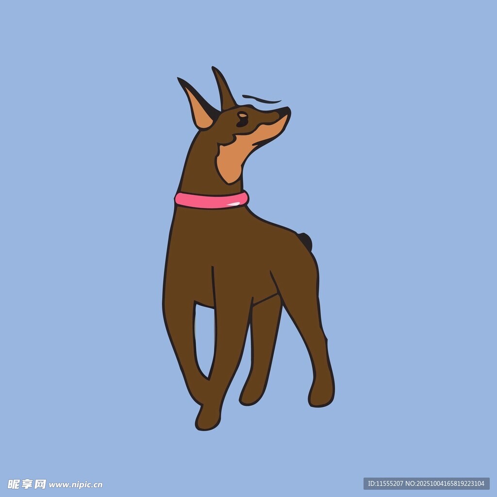 站立的棕色杜宾犬