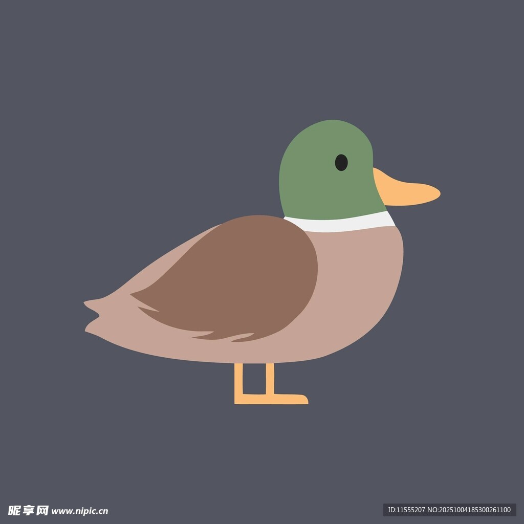 卡通绿头鸭形象