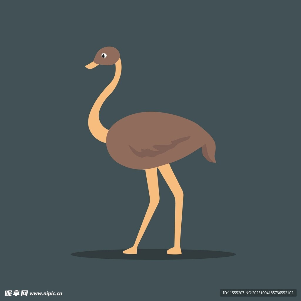 站立的鸵鸟卡通形象