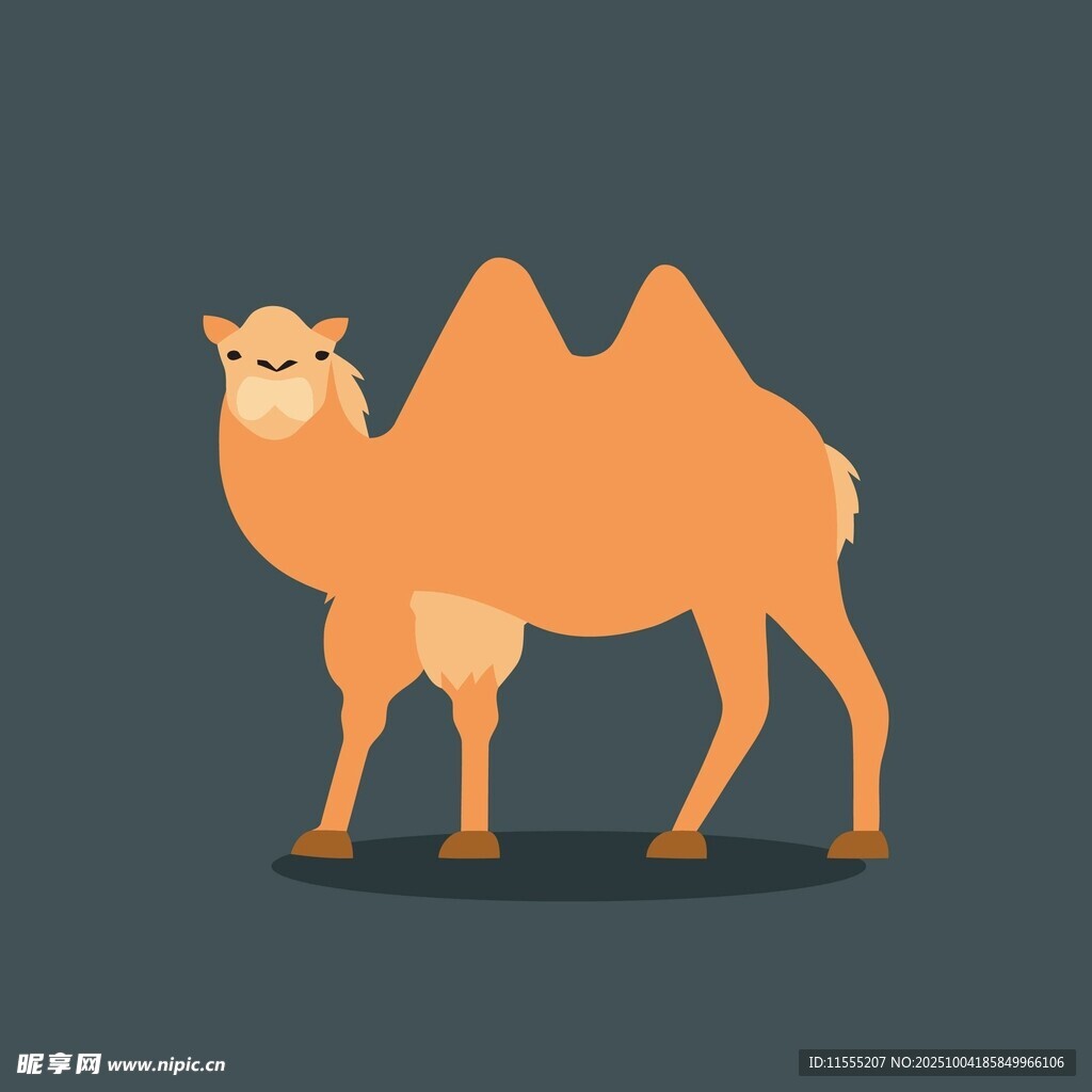站立的卡通骆驼形象