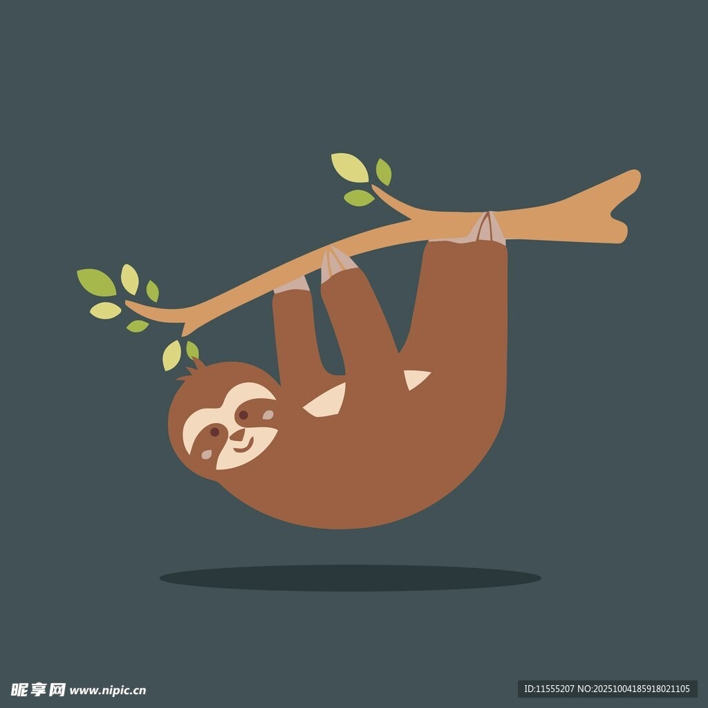 倒挂树枝的可爱树懒