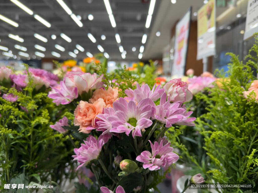 室内缤纷花卉景观