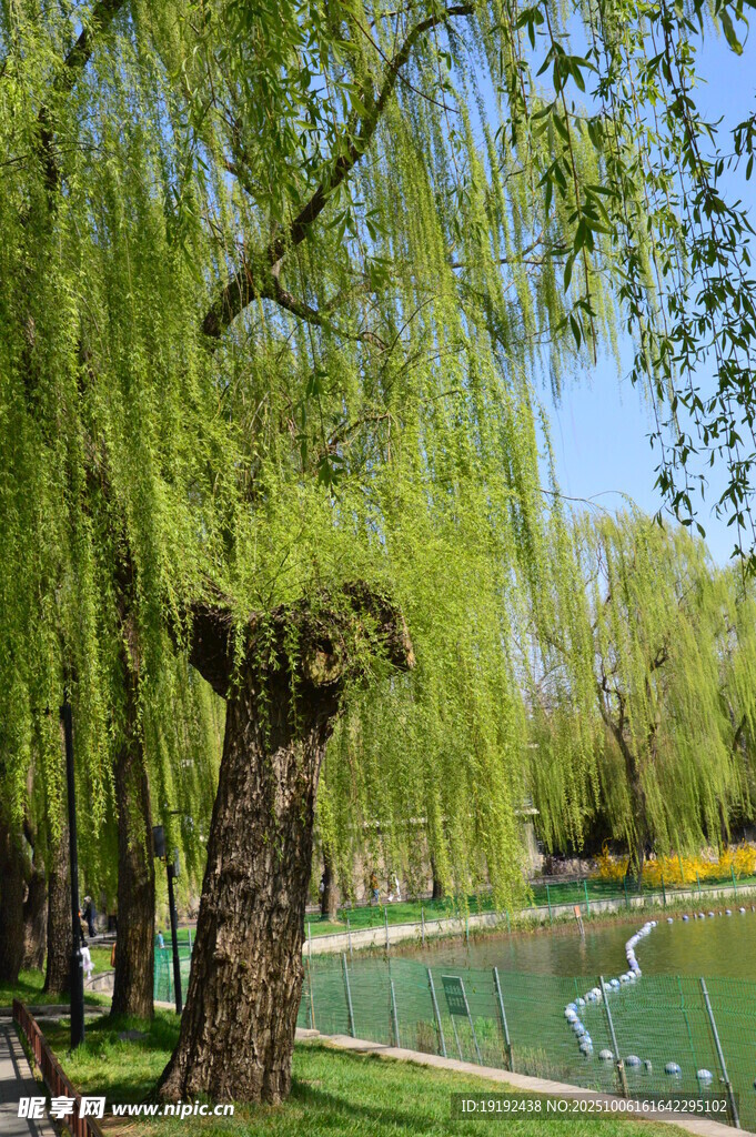 公园风景 
