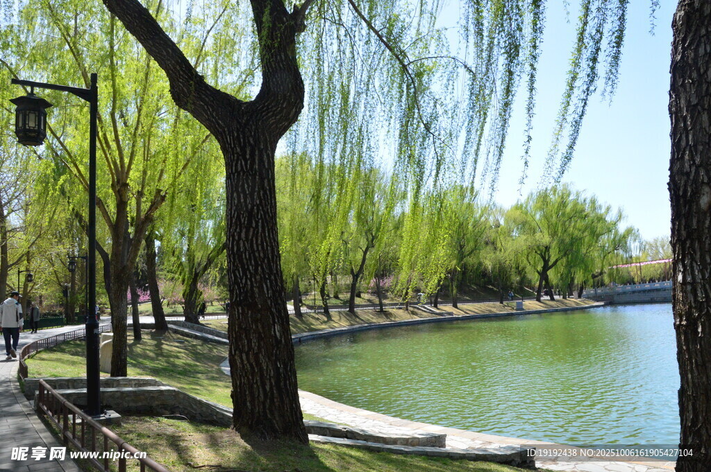 公园风景 