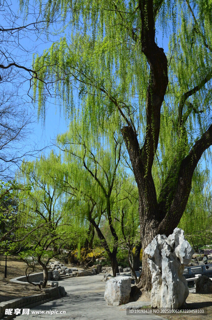公园风景  