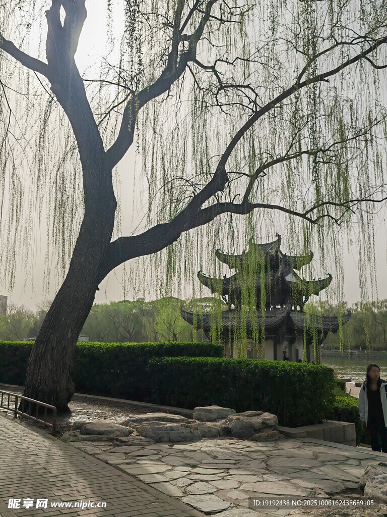 公园风景  