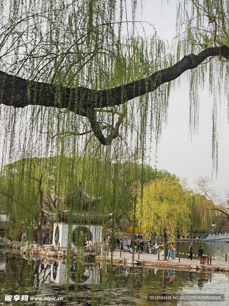 公园风景  