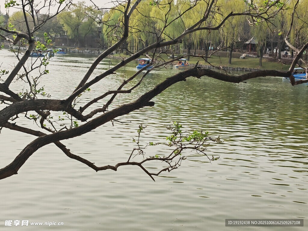 公园风景 