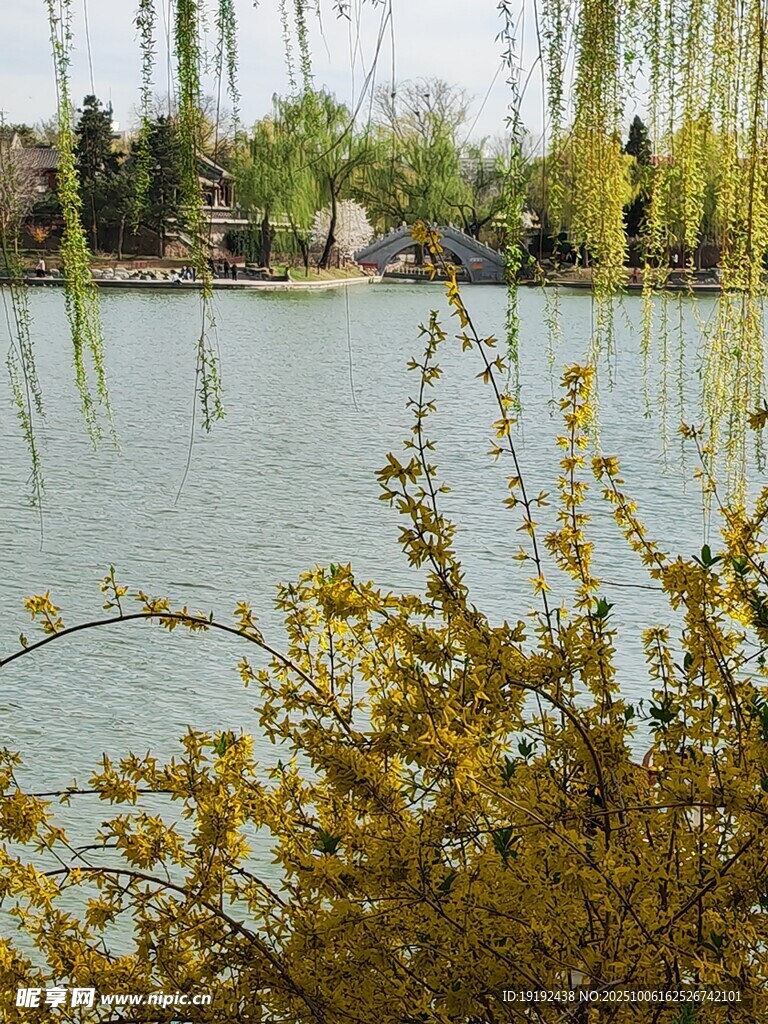 公园风景 