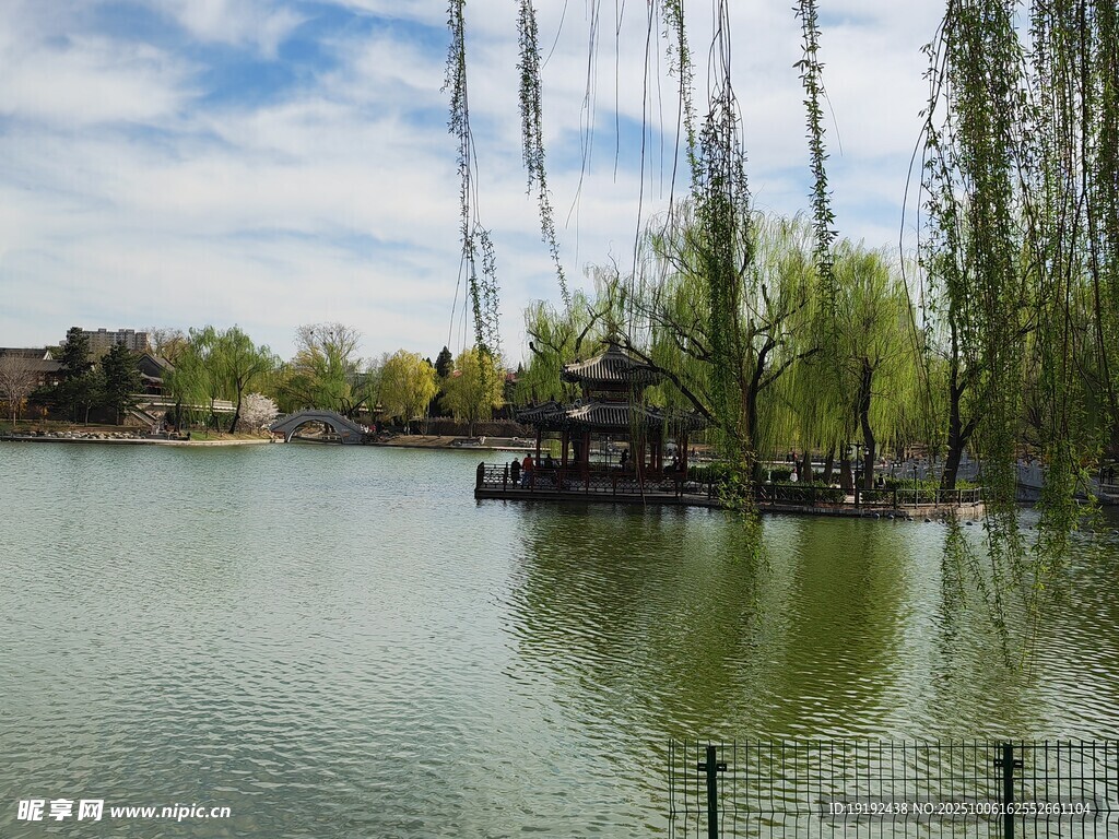 公园风景  