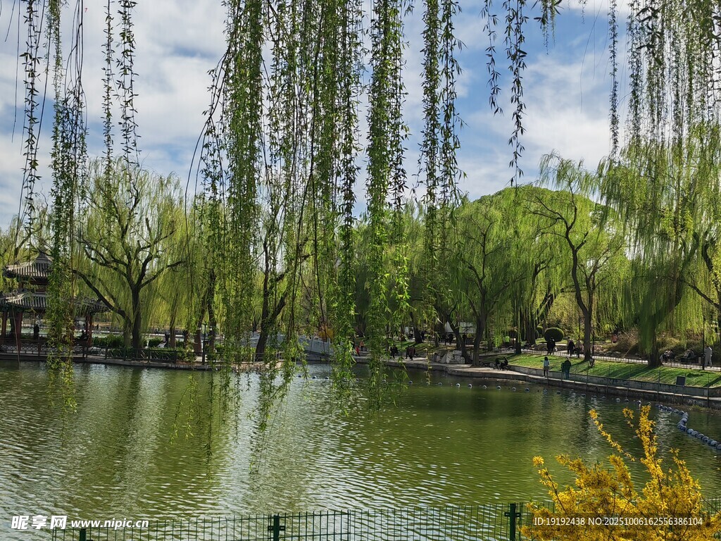 公园风景 