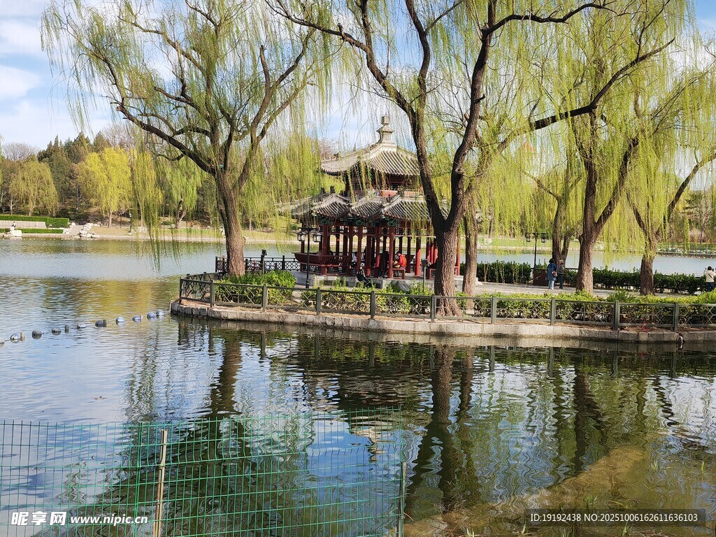公园风景  