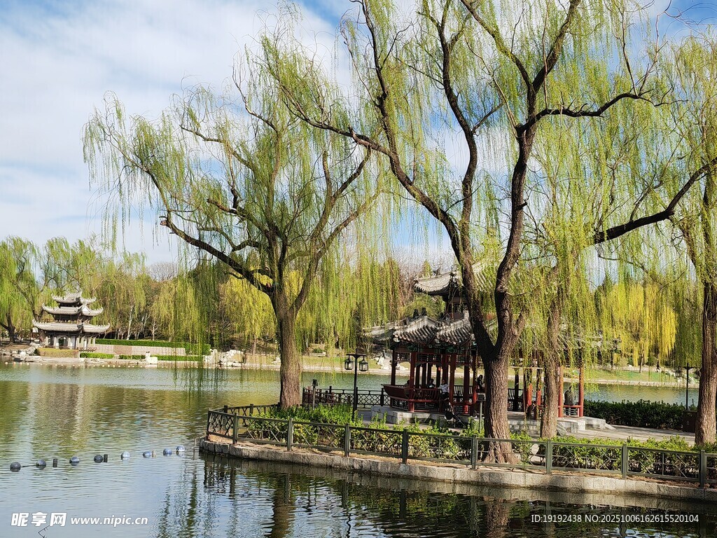 公园风景 