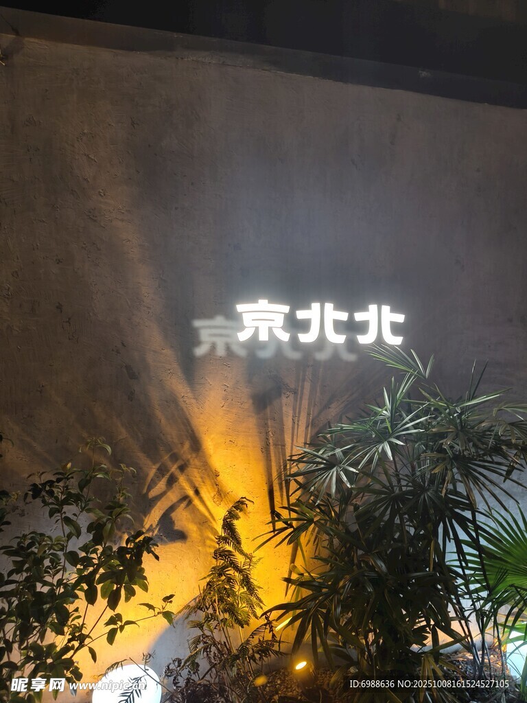 夜晚发光植物