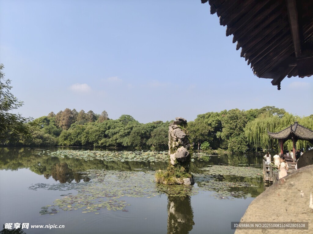 湖畔亭边的静谧水乡景致