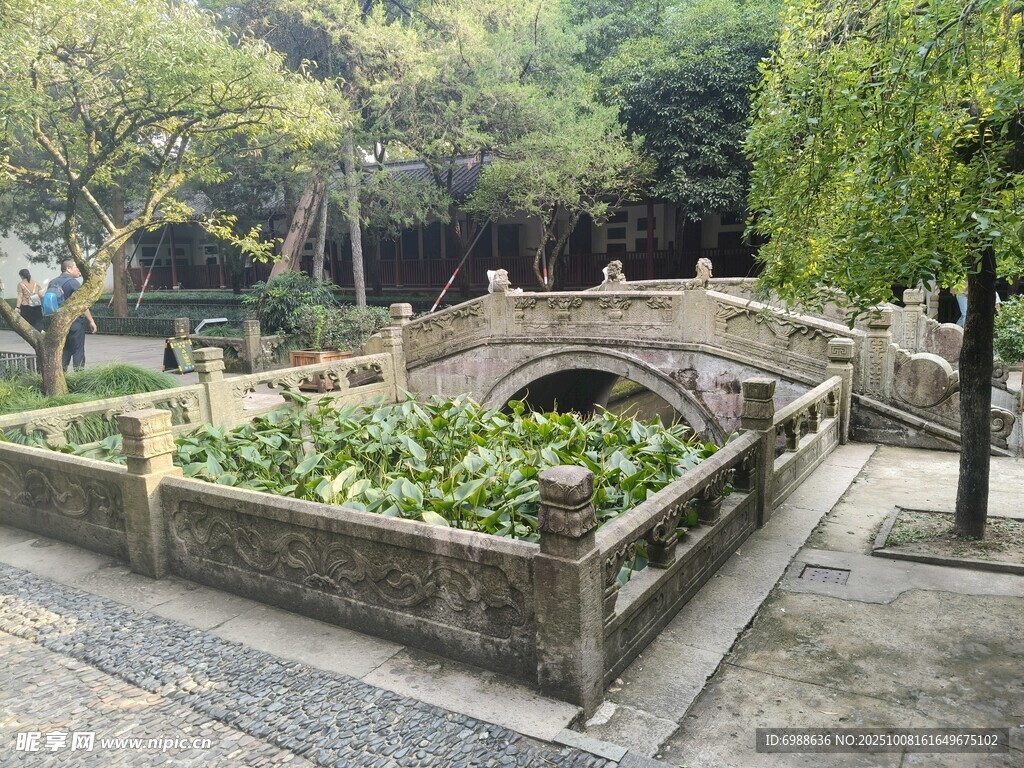 中式园林中的石桥与绿植