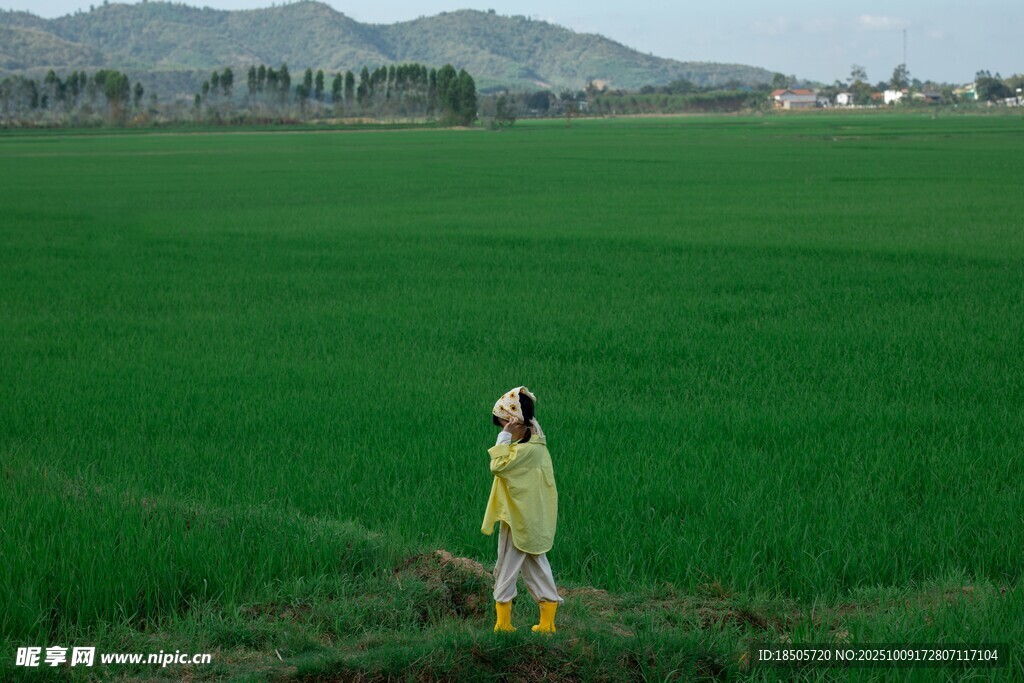 田野中的独行者
