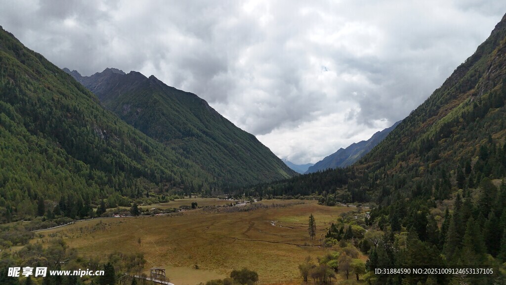 山谷中的开阔草地景观
