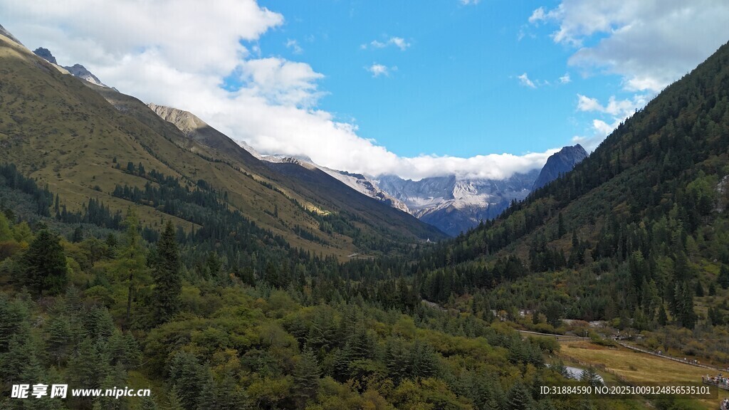 山谷美景绿意盎然的山林