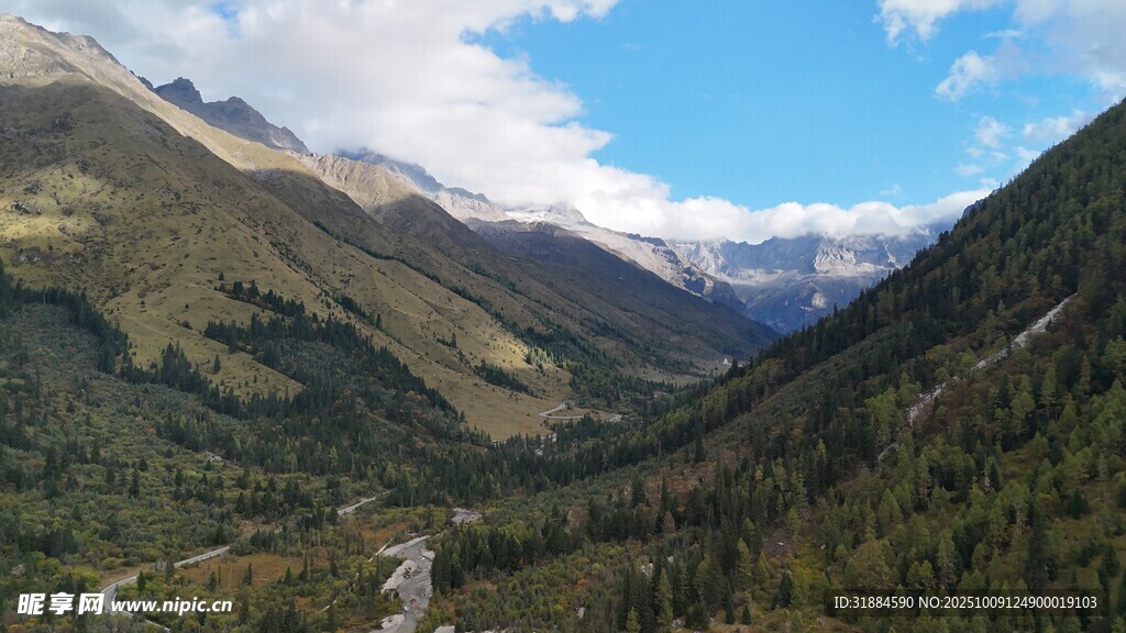 山间美景绿意盎然的山谷